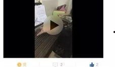 撮在线观看,探索撮合世界的精彩瞬间